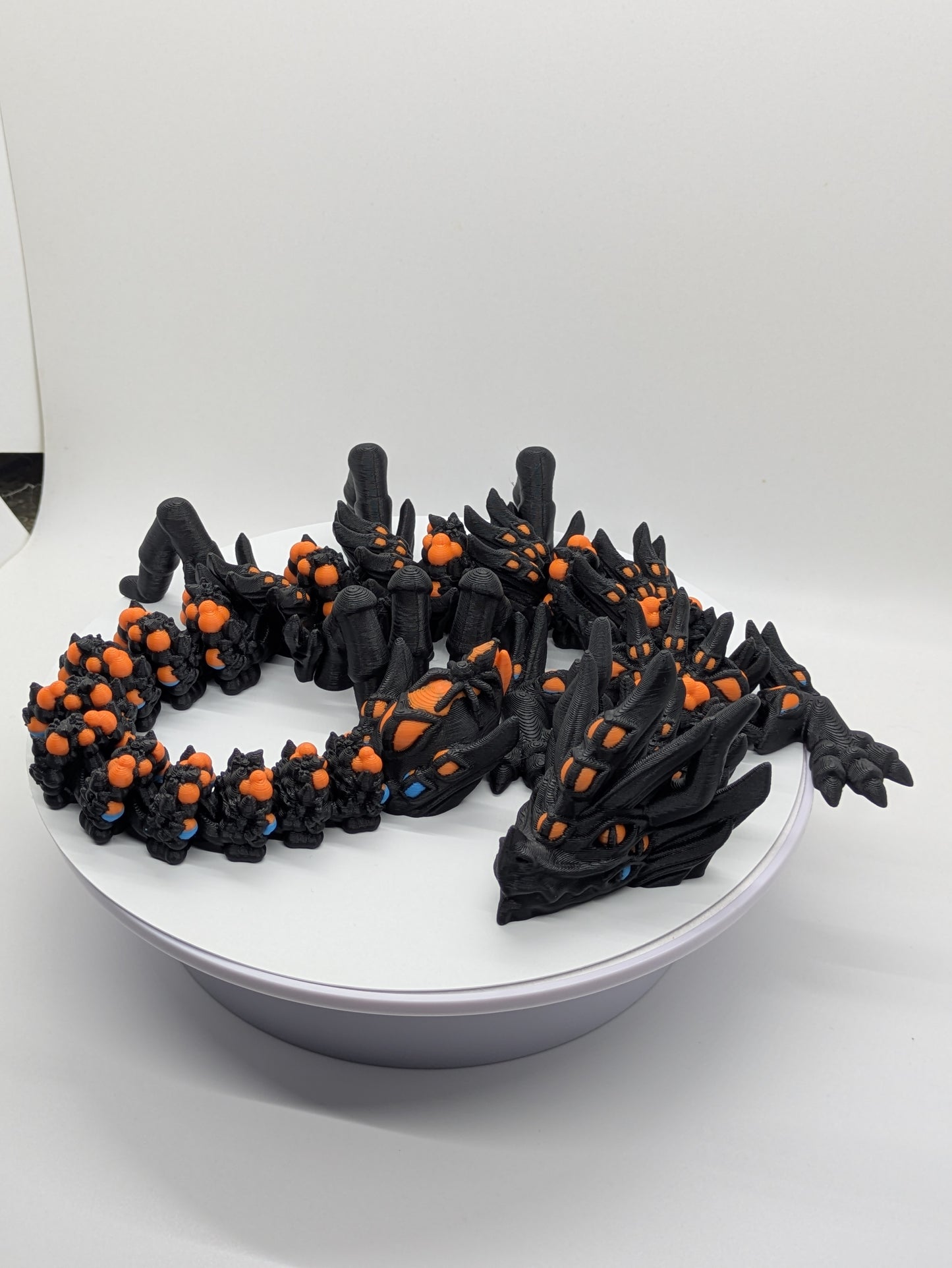 Dragon Spider Black Orange