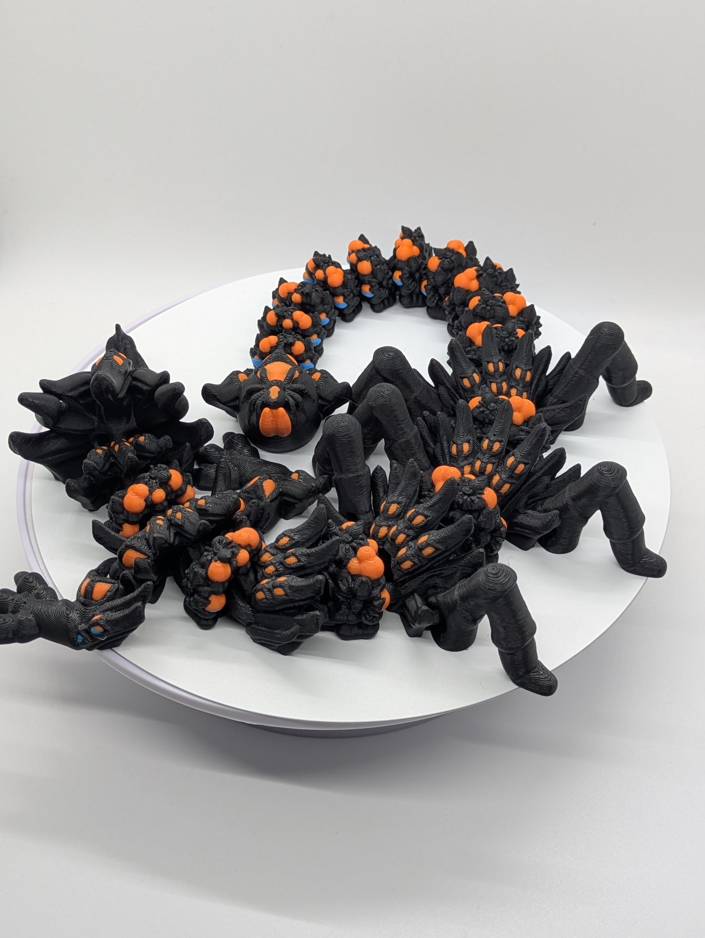 Dragon Spider Black Orange