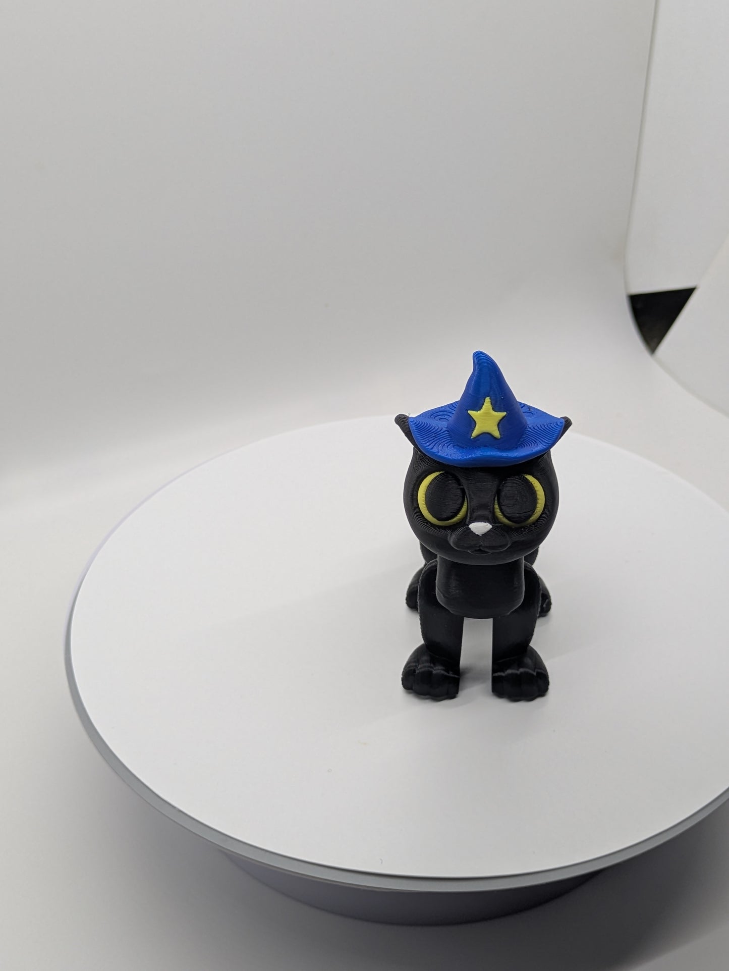 Cat with wizard Hat