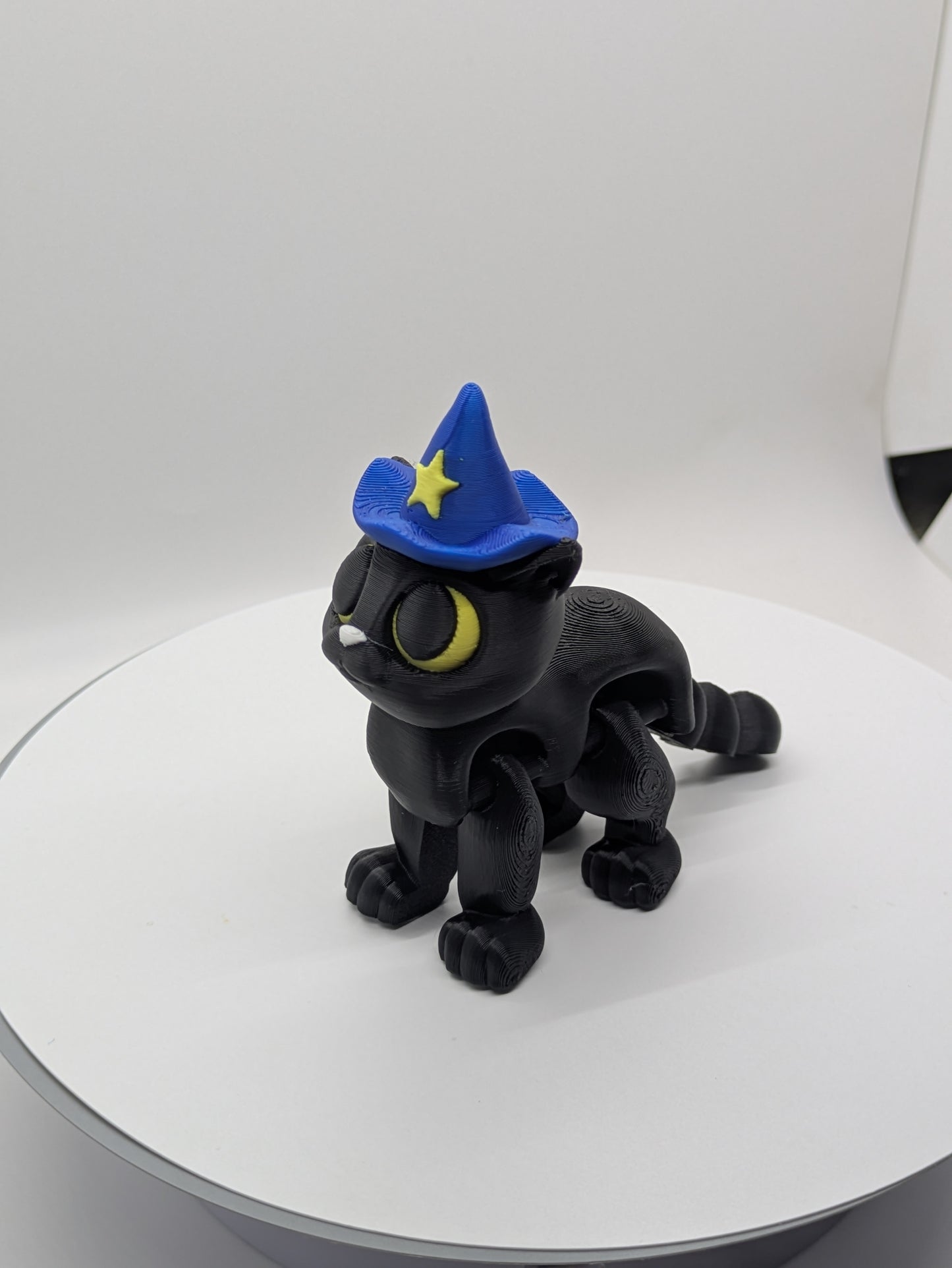 Cat with wizard Hat