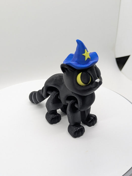 Cat with wizard Hat