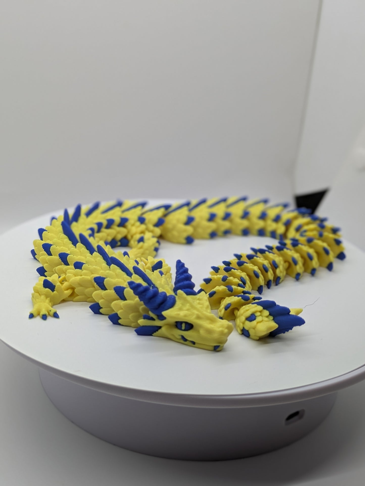 Dragon Yellow Blue