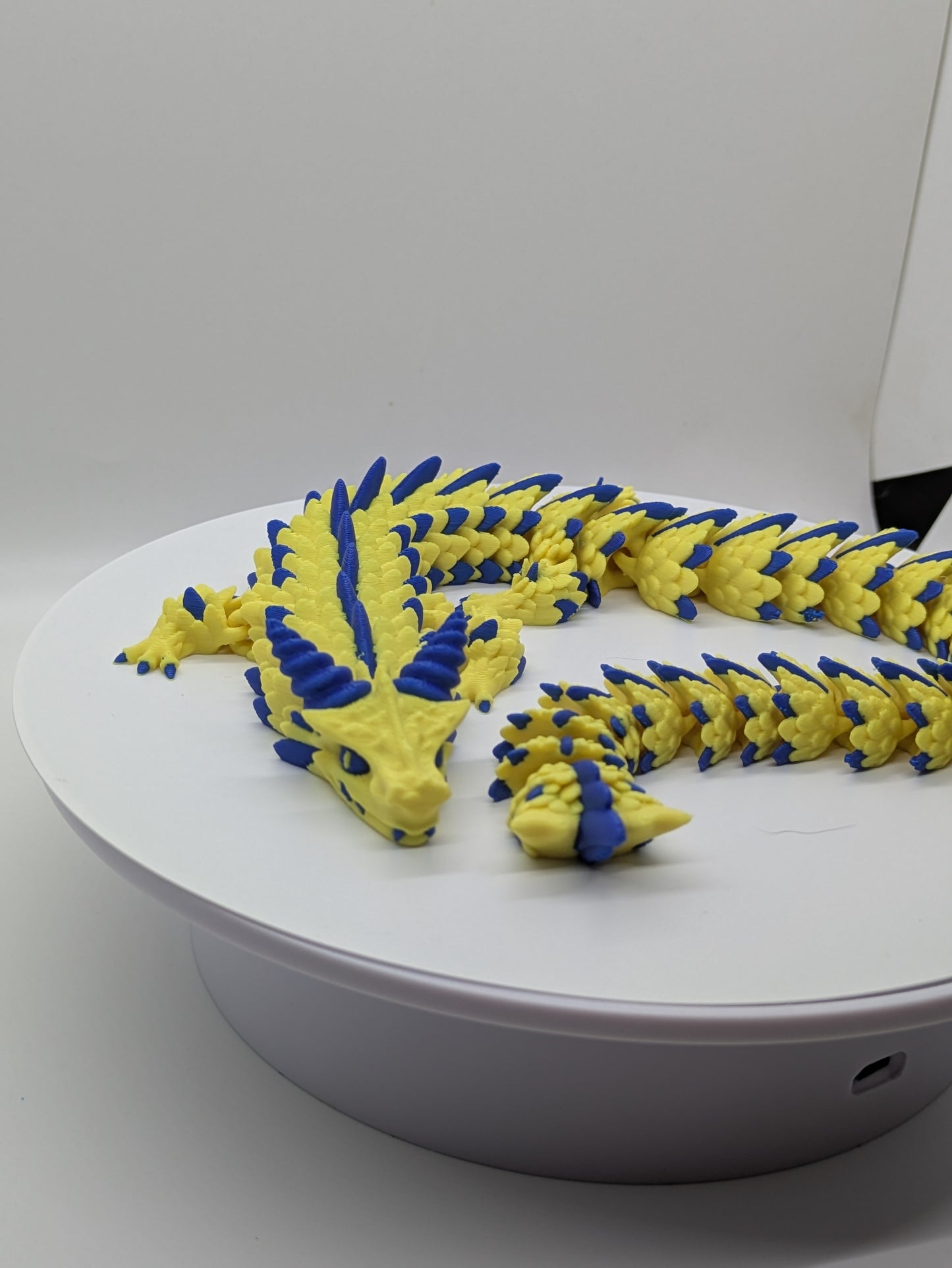 Dragon Yellow Blue