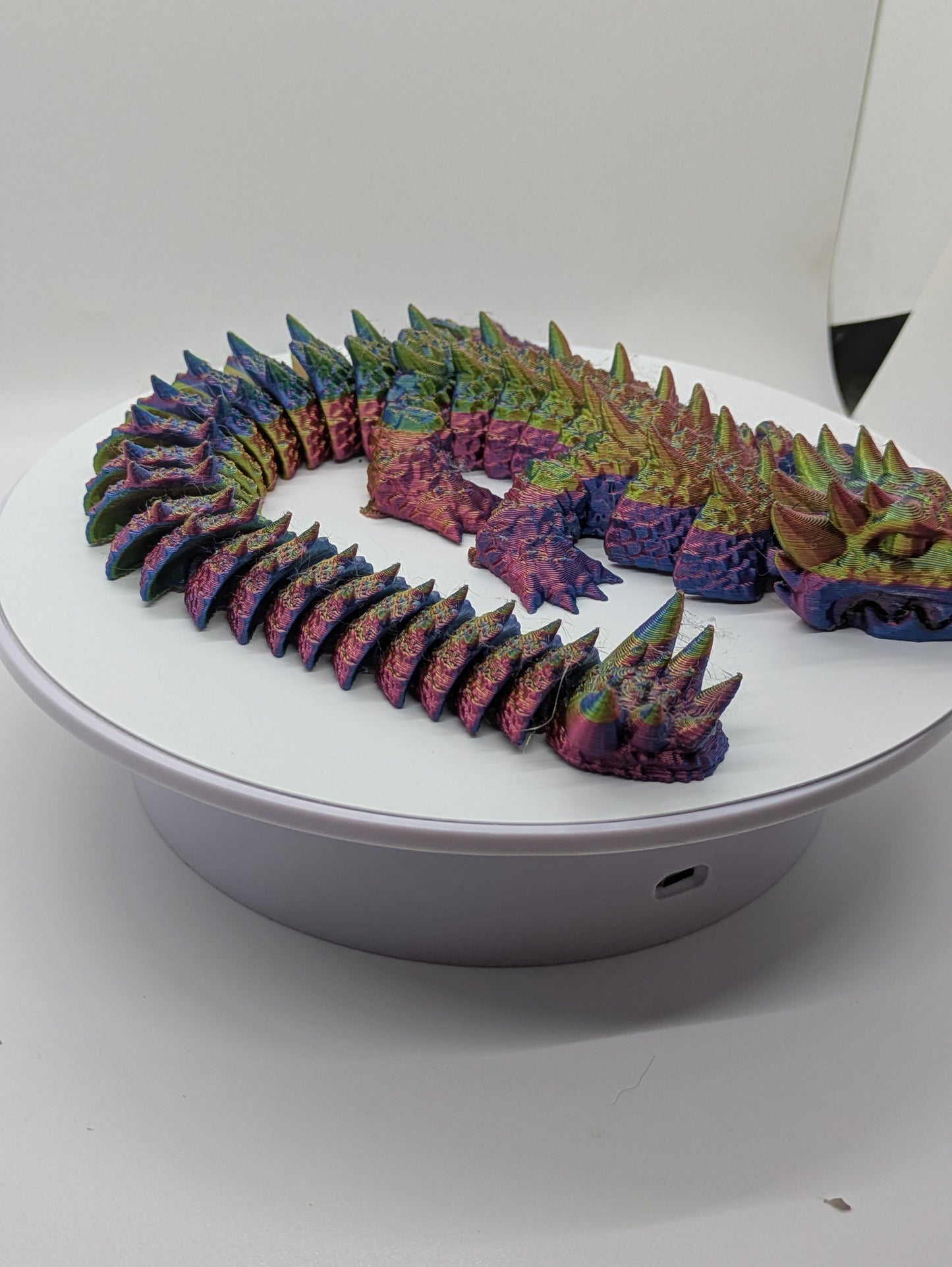 Dinosaur Dragon