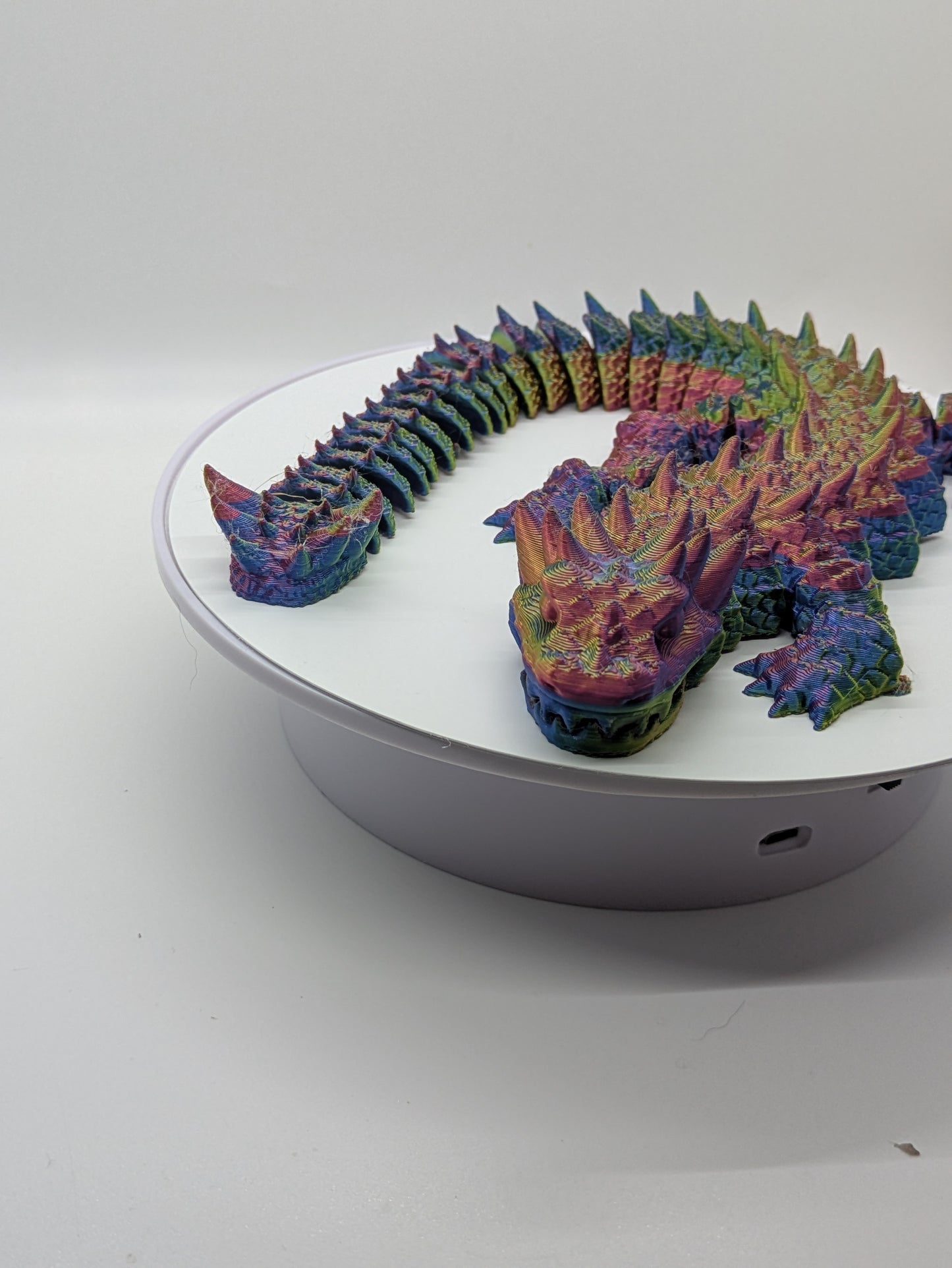 Dinosaur Dragon