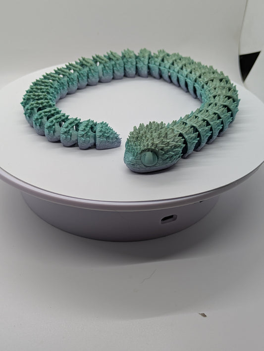 Snake Dragon multi color